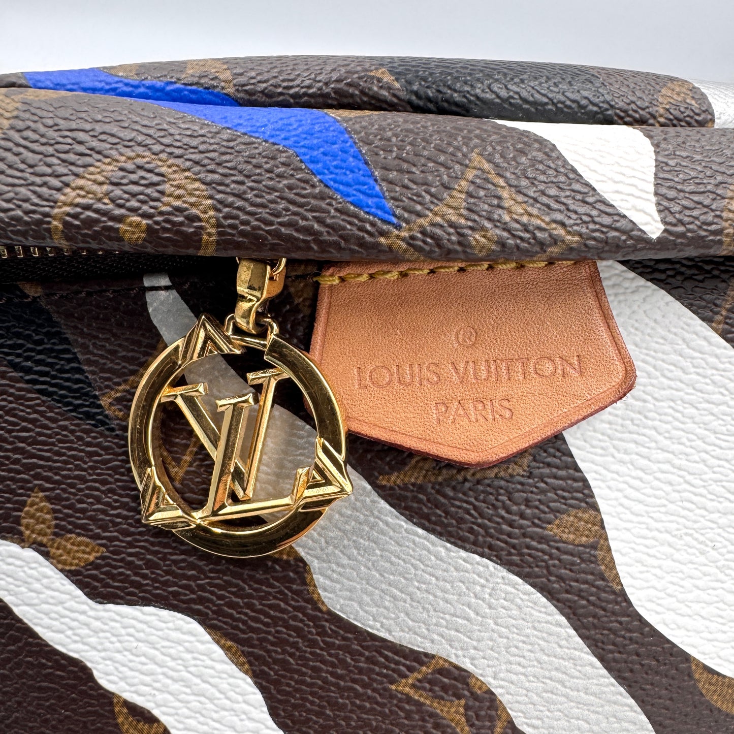 Louis Vuitton 老花腰包 Bumbag