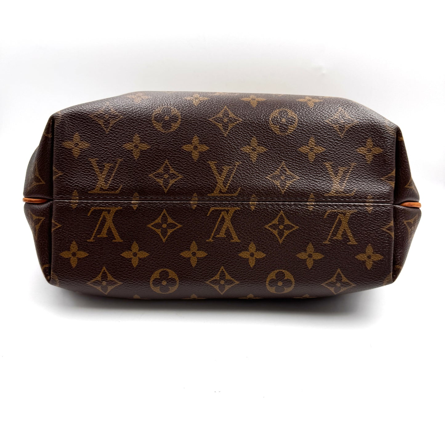 Louis Vuitton 經典老花餃子包