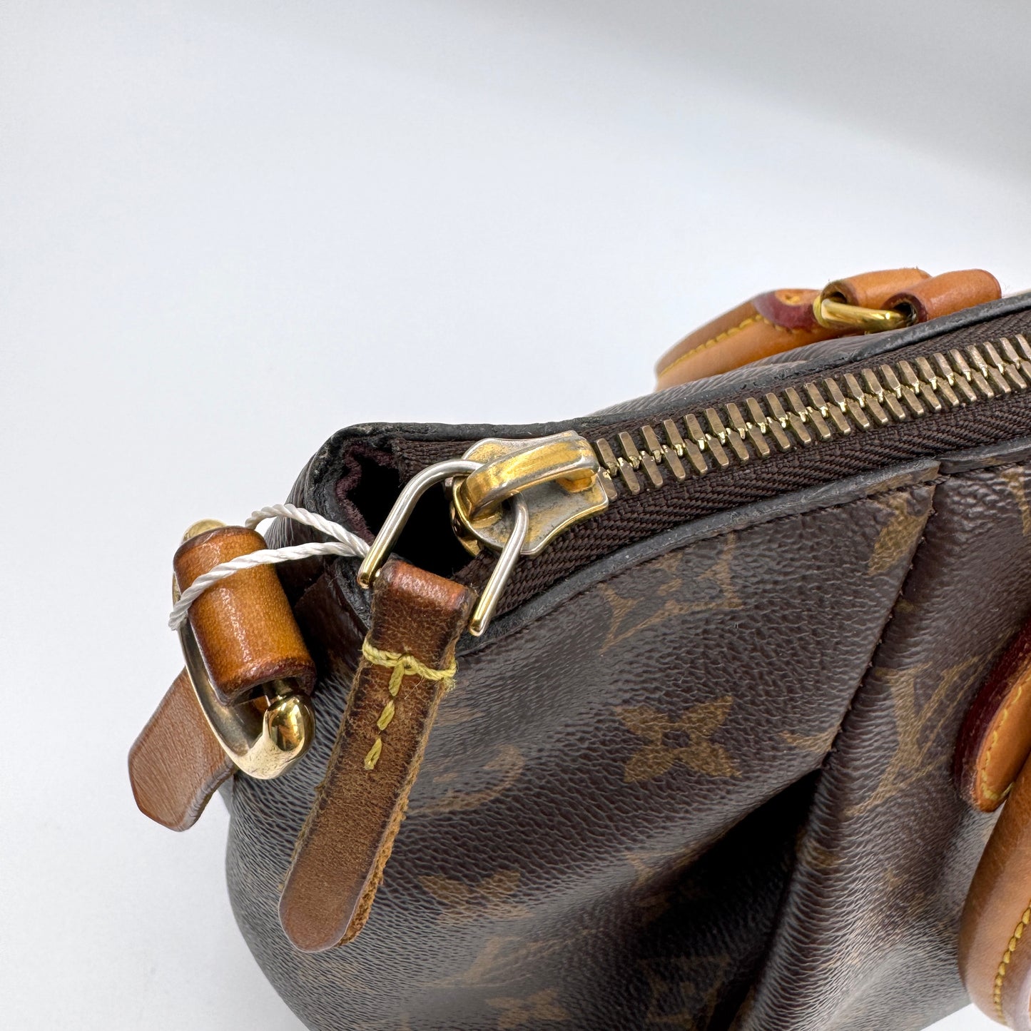 Louis Vuitton 經典老花餃子包