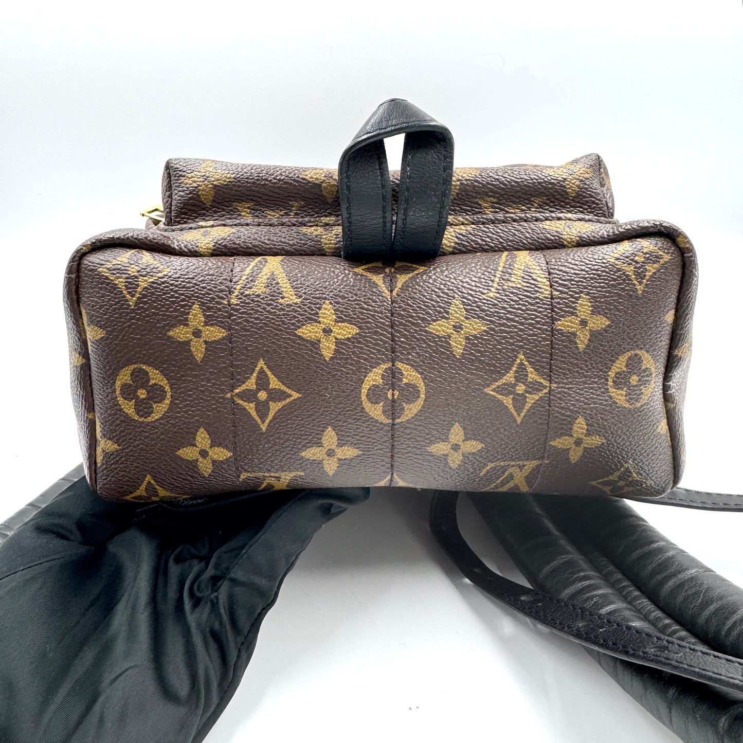 Louis Vuitton Palm Springs Mini 老花後背包