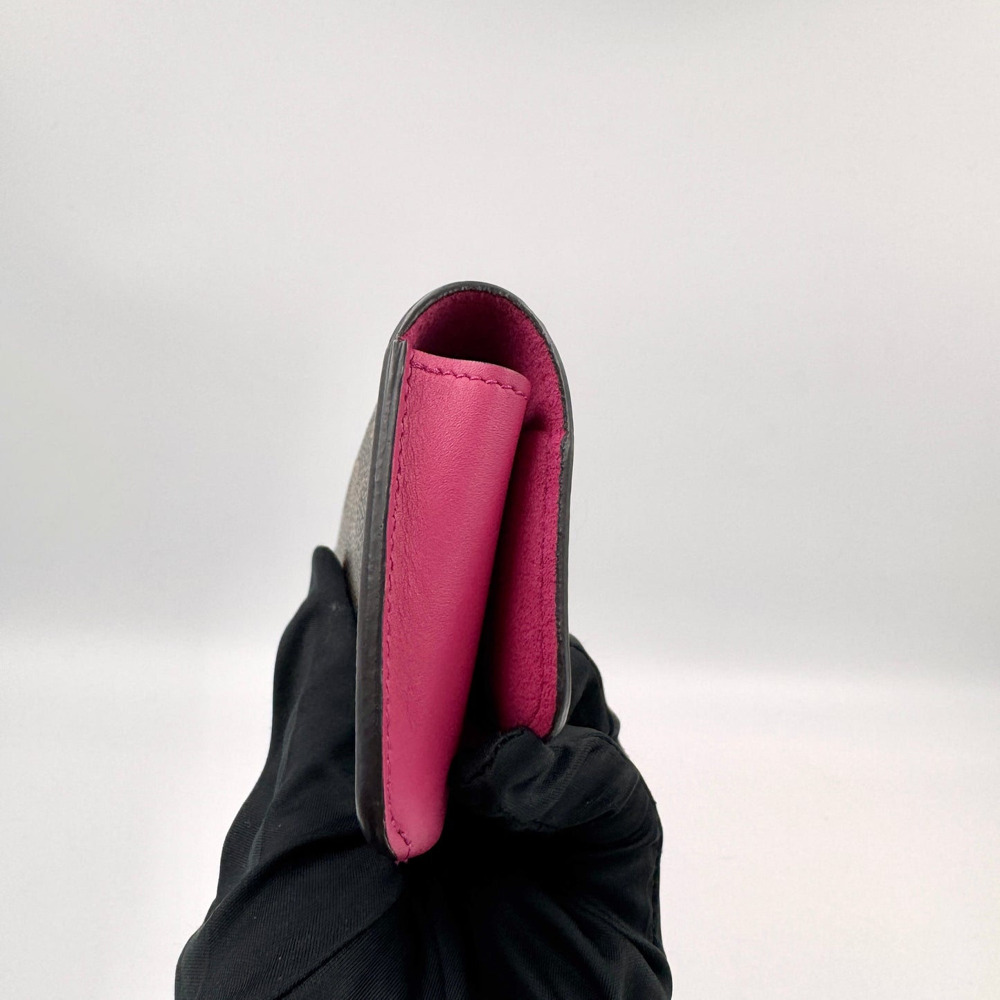 Louis Vuitton Xmas Sunglasses Case（眼鏡包）聖誕限量眼鏡包